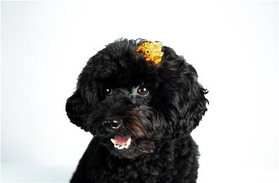 开发商透露《先驱者》成本还未收回 2021年没有盈利